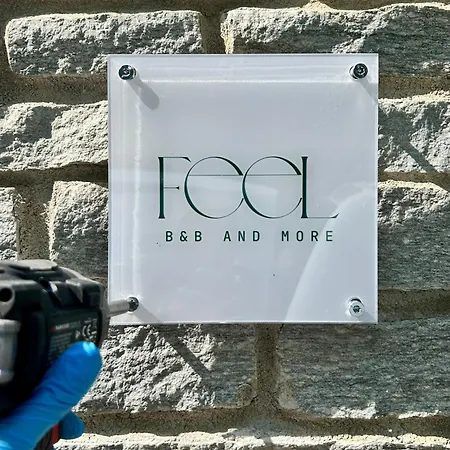 Feel And סאלוצו